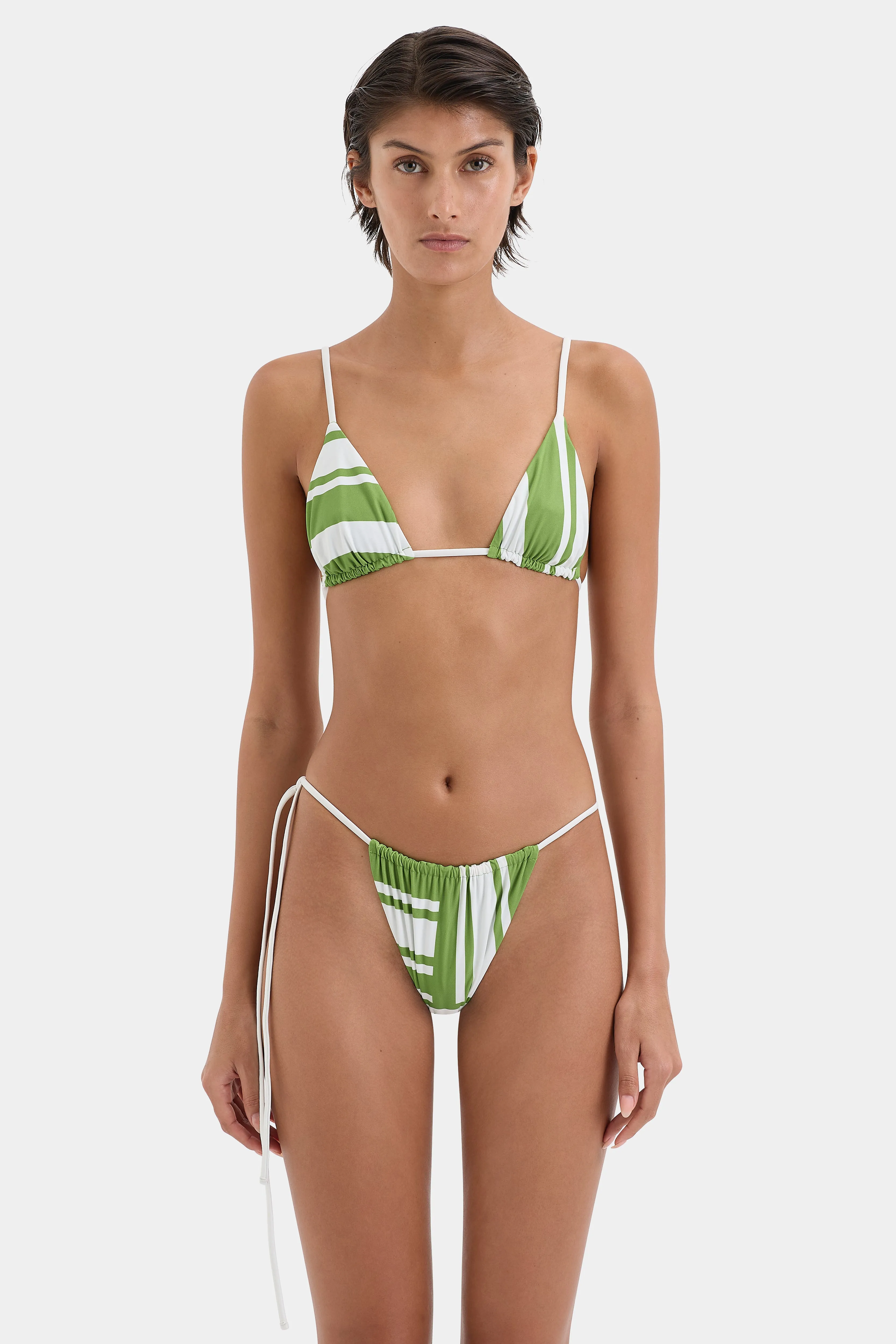 Carlo String Brief SIR