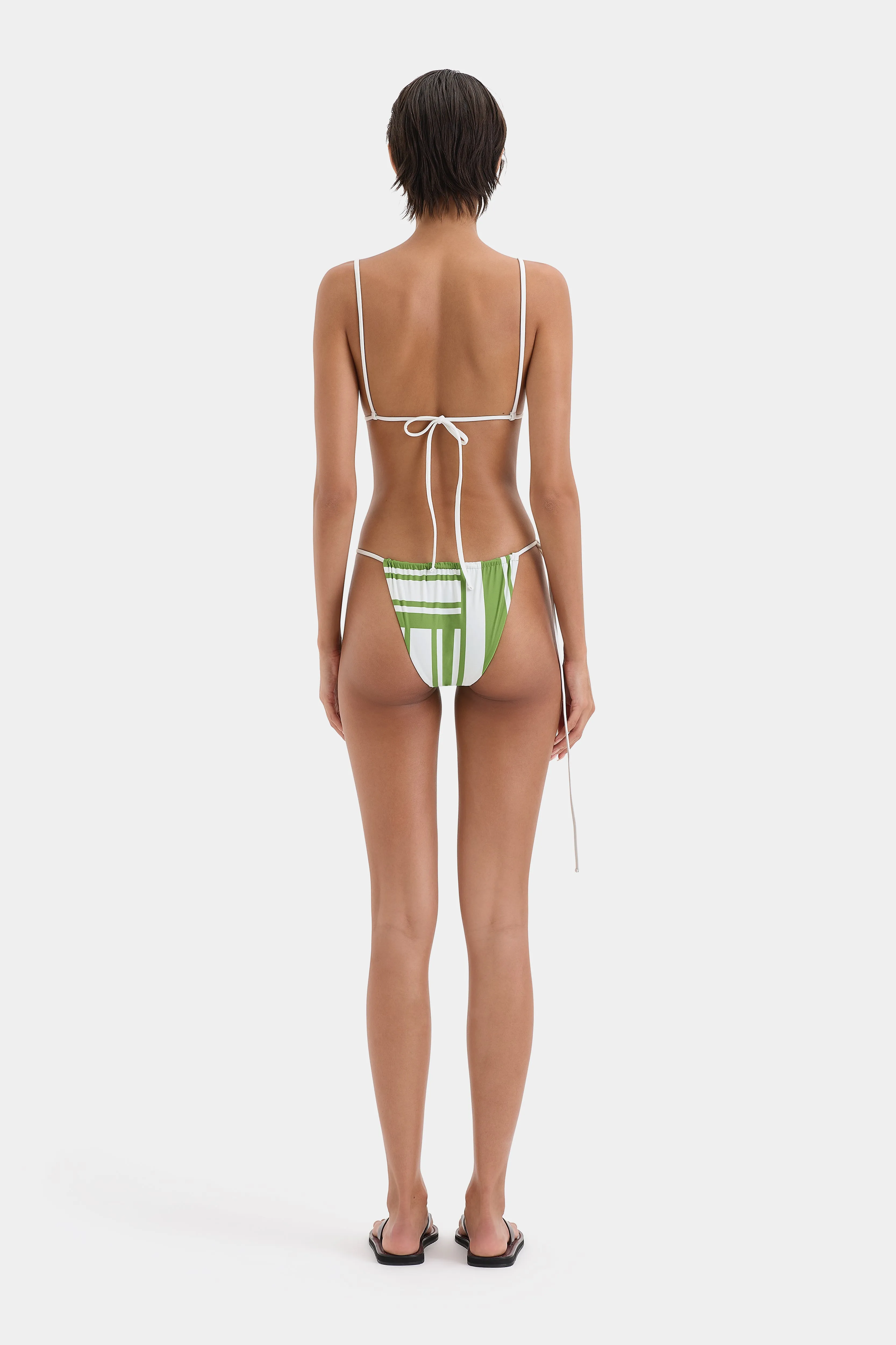 Carlo String Brief SIR