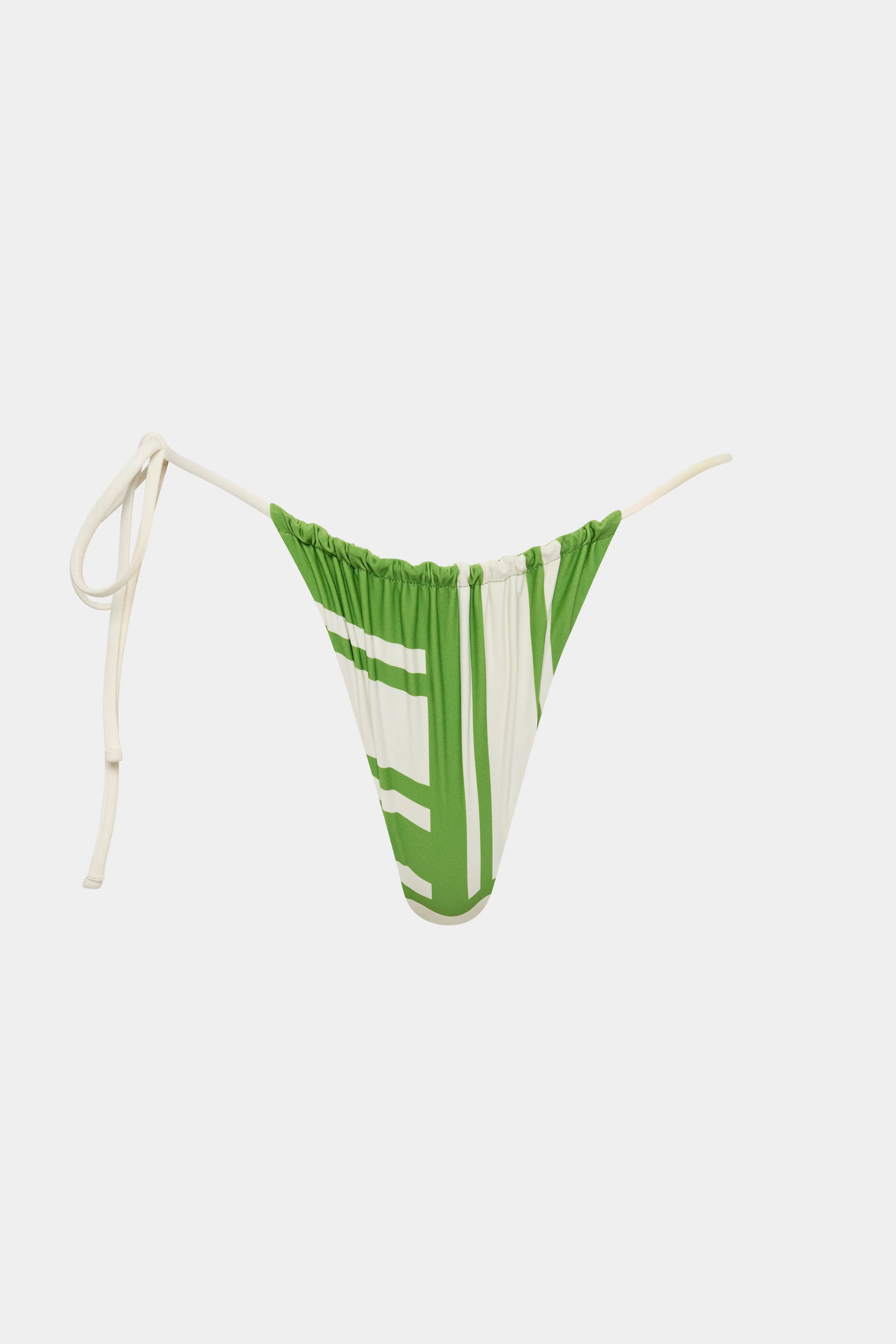 Carlo String Brief SIR