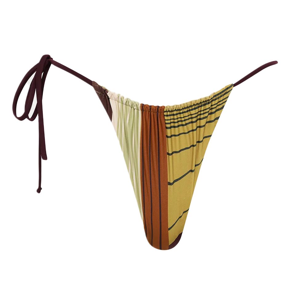 Fontana String Brief SIR