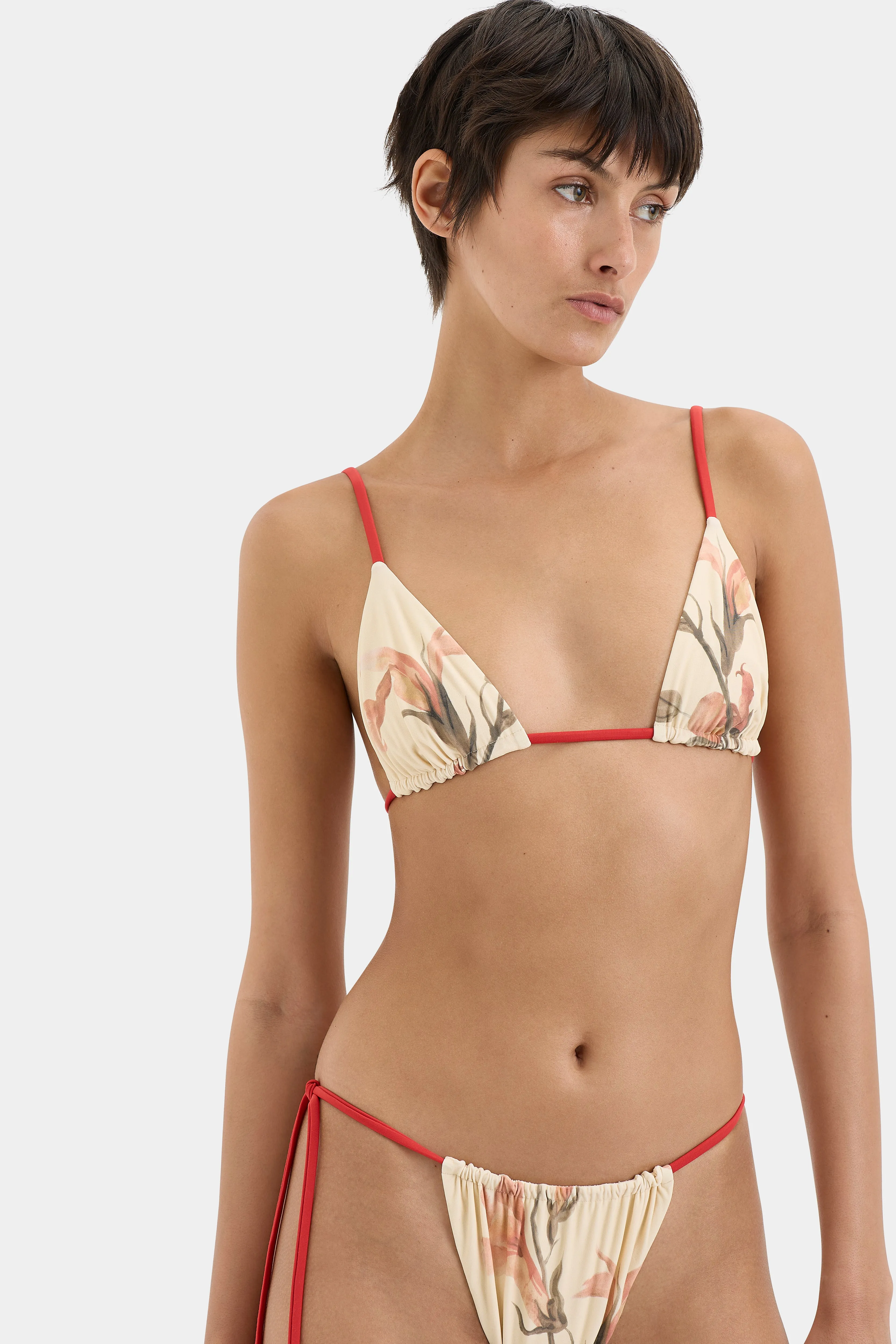 Hana String Brief SIR