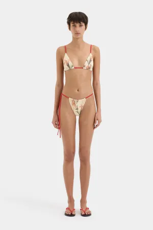 Hana String Brief SIR