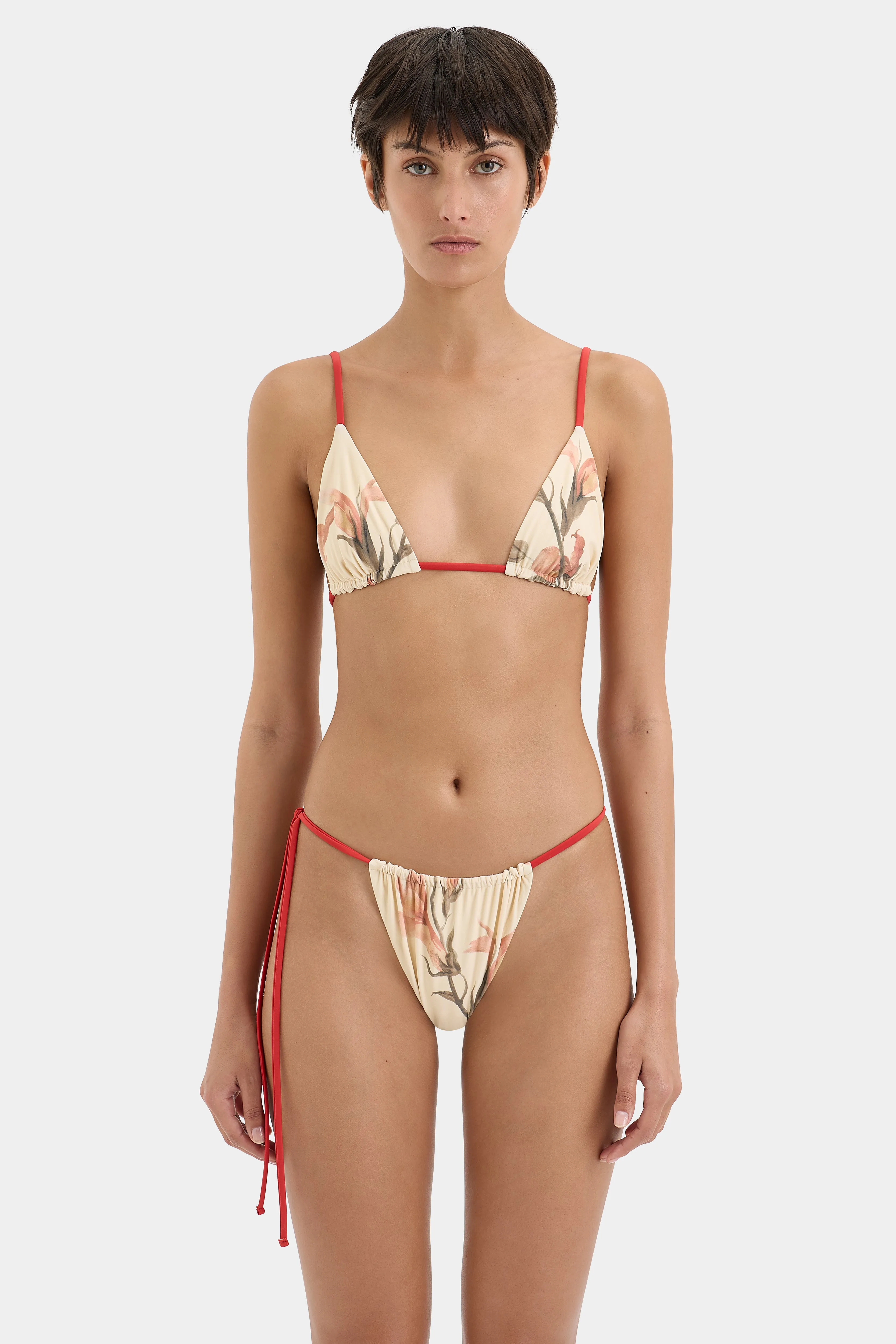 Hana String Brief SIR