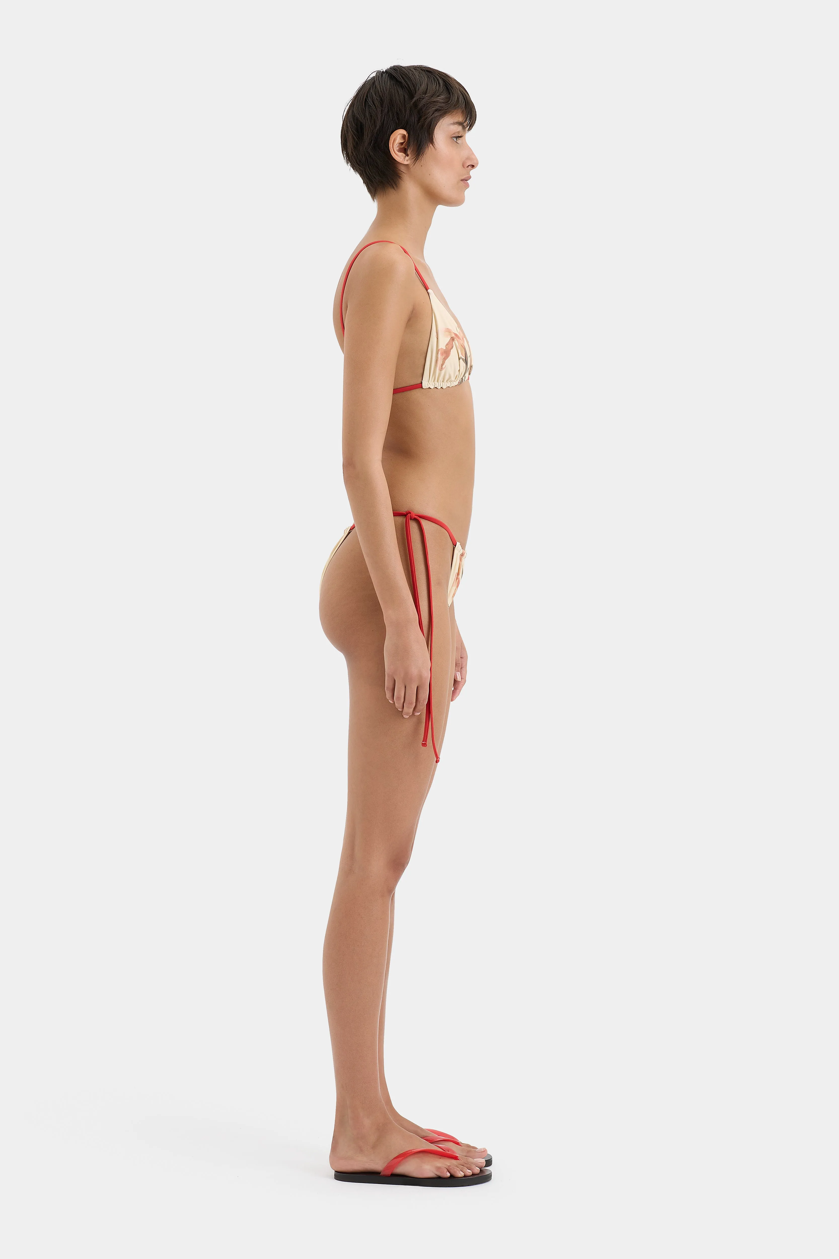 Hana String Brief SIR