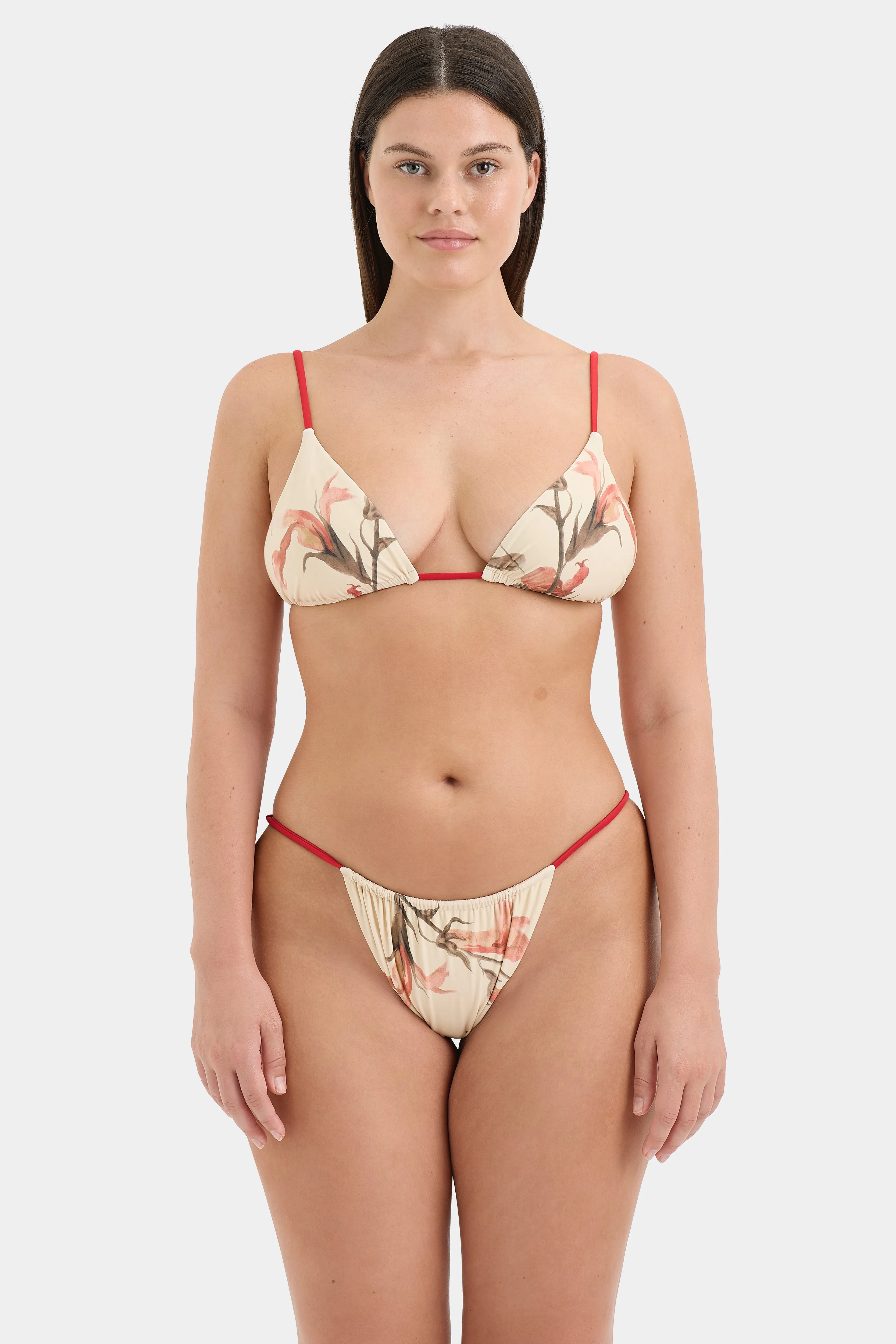 Hana String Brief SIR
