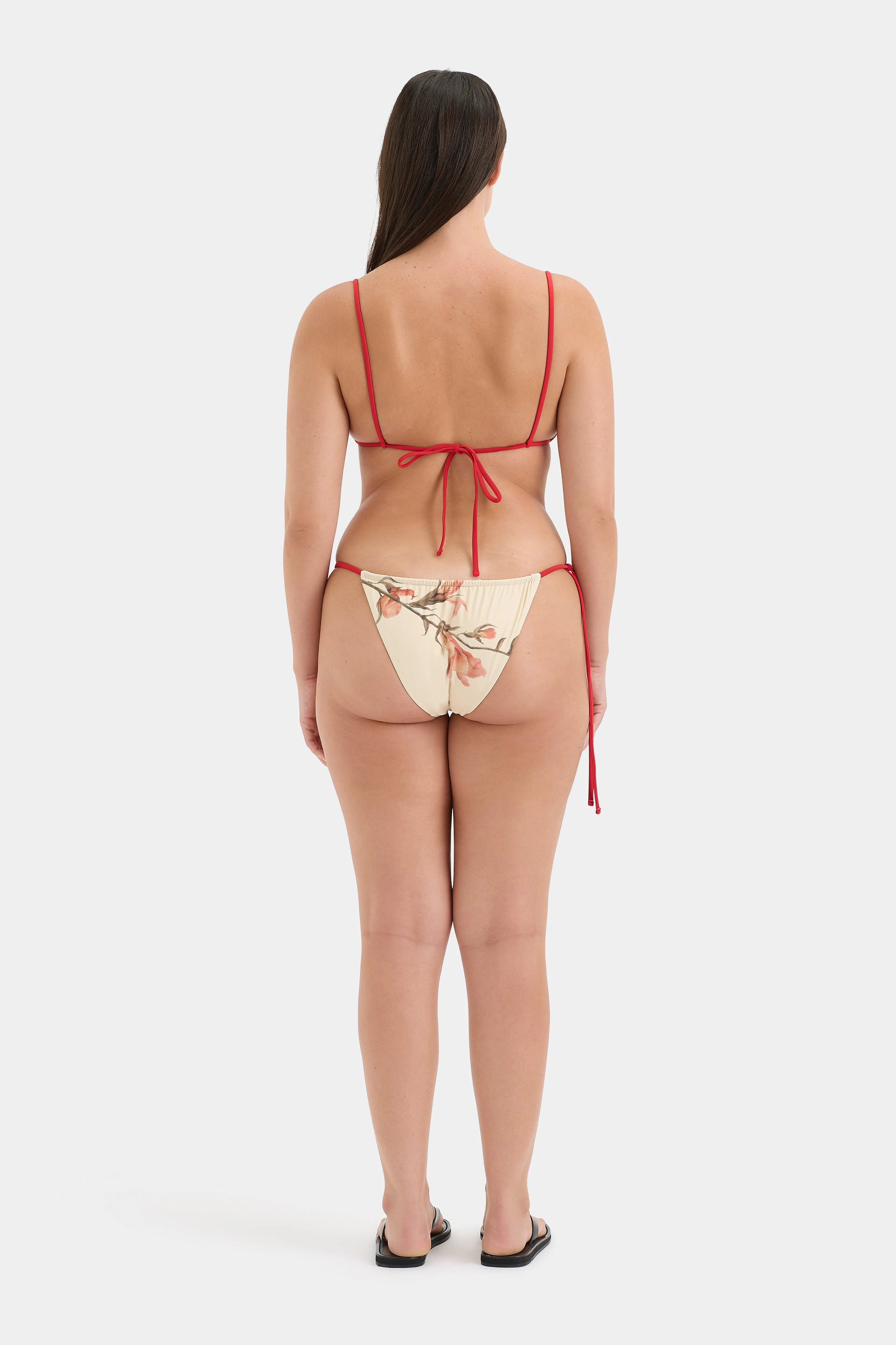 Hana String Brief SIR