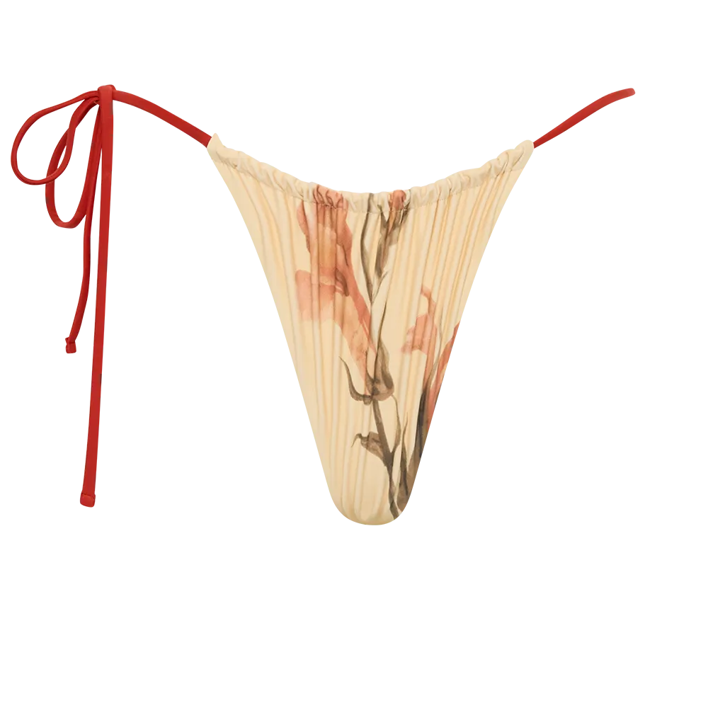 Hana String Brief SIR