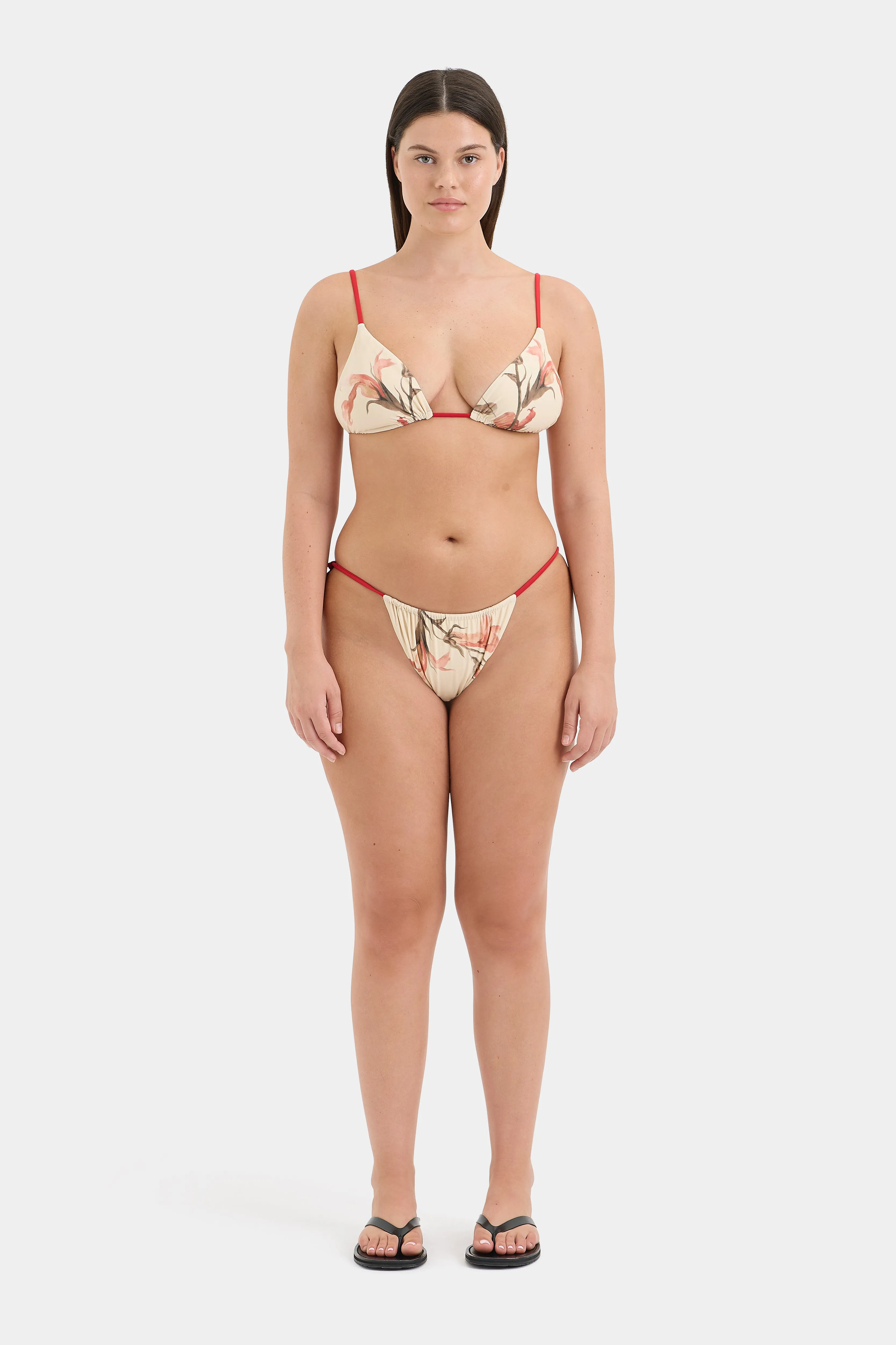 Hana String Brief SIR