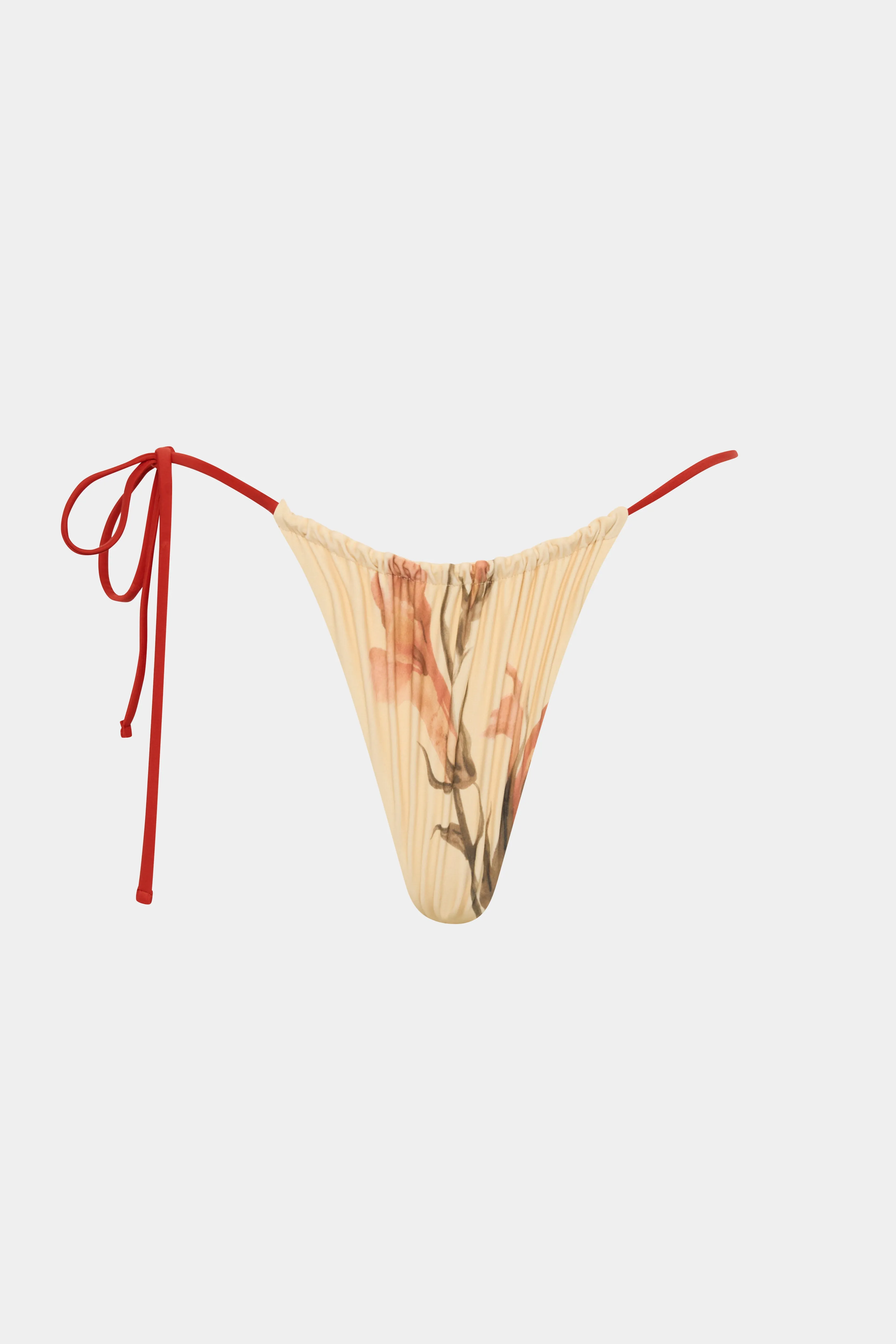 Hana String Brief SIR