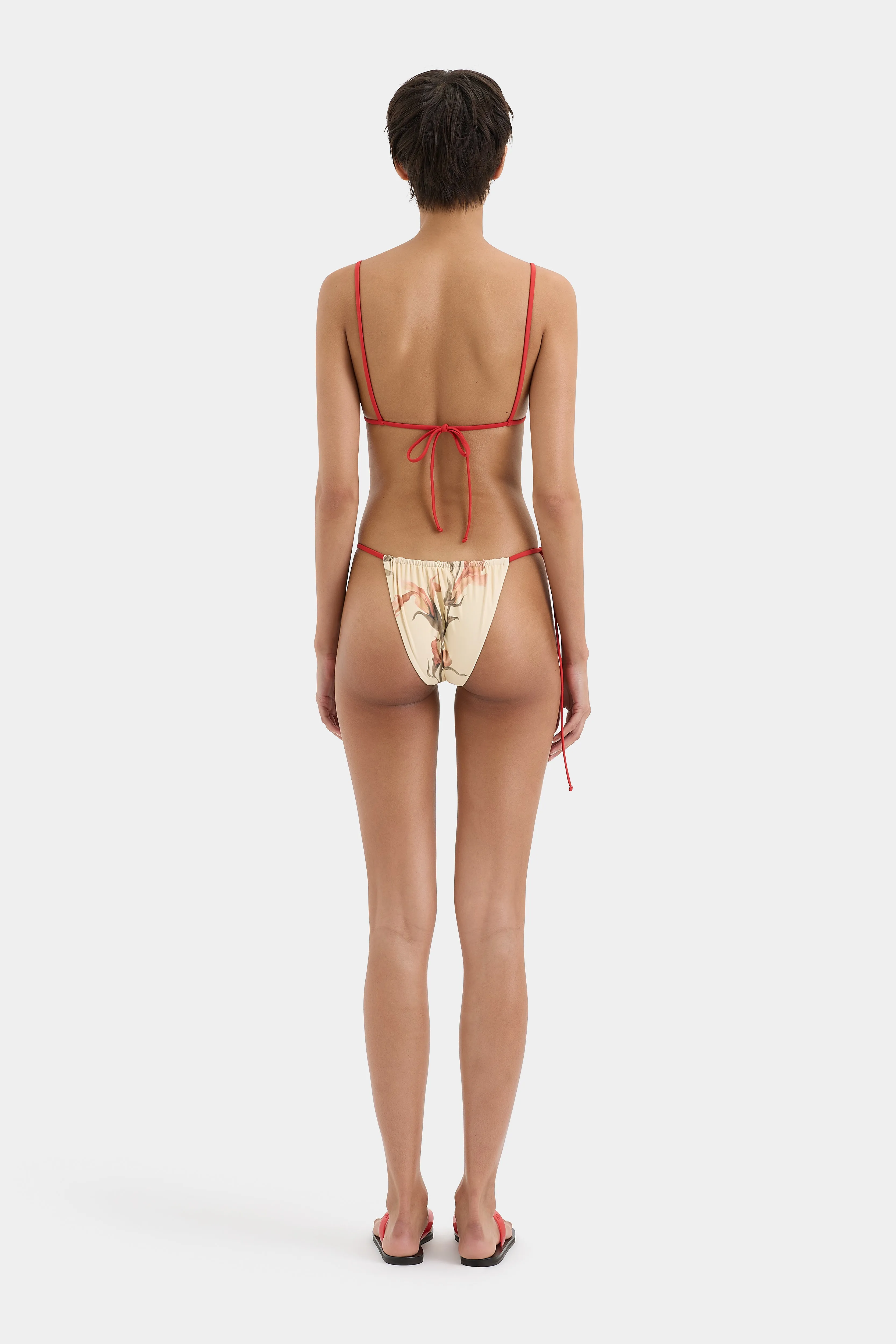 Hana String Brief SIR